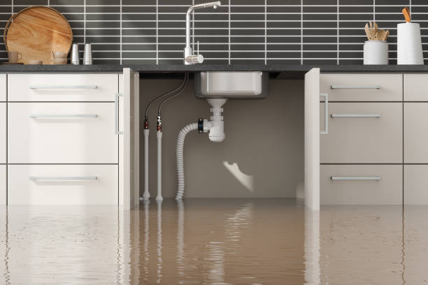 Trusted Water Damage Restoration in New Market, TN | Fast, Reliable, and Ready to Assist You